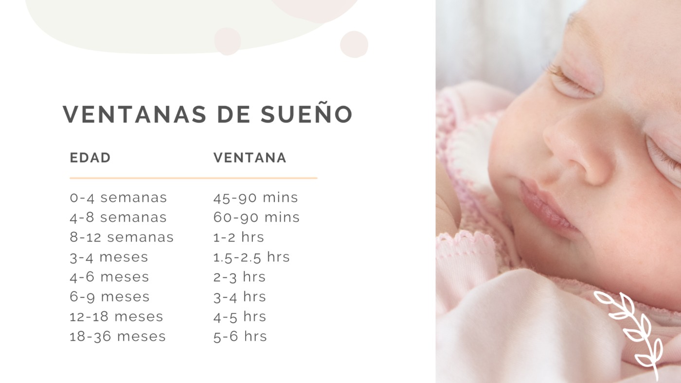 ¿Qué son las ventanas de sueño?